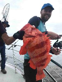 Whale Watching Depoe Bay 