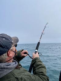 Whale Watching Depoe Bay 