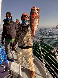 Whale Watching Depoe Bay 