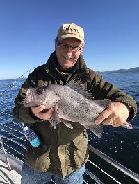 Whale Watching Depoe Bay 