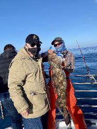 Whale Watching Depoe Bay 