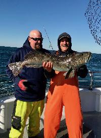 Whale Watching Depoe Bay 