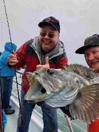 Whale Watching Depoe Bay YAHOO!