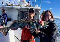 Whale Watching Depoe Bay 