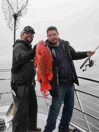 Whale Watching Depoe Bay 