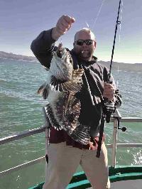 Whale Watching Depoe Bay 