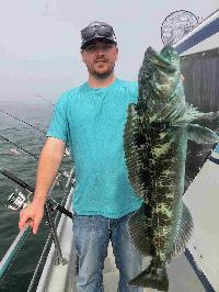 Whale Watching Depoe Bay 