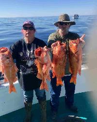 Whale Watching Depoe Bay 