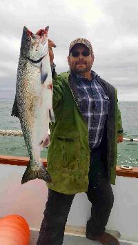 Whale Watching Depoe Bay 