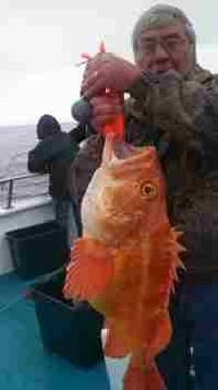 Whale Watching Depoe Bay 