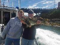 Whale Watching Depoe Bay 