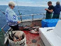 Whale Watching Depoe Bay 