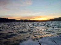 Whale Watching Depoe Bay SUNRISE AT SEA