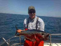 Whale Watching Depoe Bay 