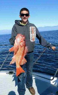 Whale Watching Depoe Bay BIG CANARY