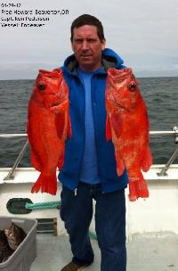 Whale Watching Depoe Bay 