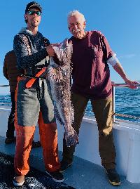 Whale Watching Depoe Bay THE CODFATHER STRIKES AGAIN