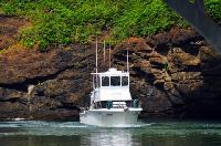 Whale Watching Depoe Bay 