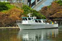 Whale Watching Depoe Bay 