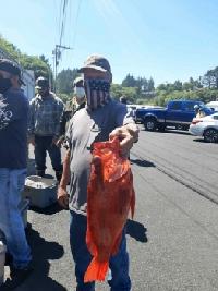 Whale Watching Depoe Bay 