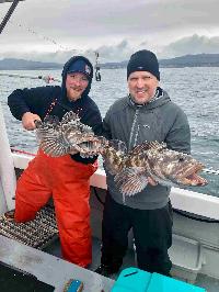 Whale Watching Depoe Bay 