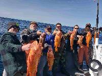 Whale Watching Depoe Bay CANARY ROCKFISH
