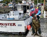 Whale Watching Depoe Bay NICE BUTT MARK