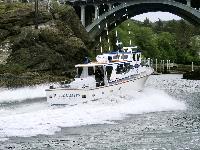 Whale Watching Depoe Bay OUTER LIMITS INBOUND