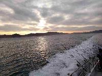 Whale Watching Depoe Bay UNDERWAY AGAIN