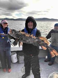 Whale Watching Depoe Bay 