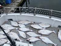Whale Watching Depoe Bay HALIBUT ON DECK