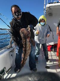 Whale Watching Depoe Bay 