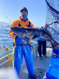 Whale Watching Depoe Bay LING CODASAURUS