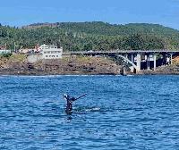 Whale Watching Depoe Bay Whales tail