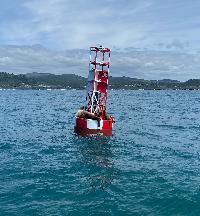 Whale Watching Depoe Bay DB BUOY #1